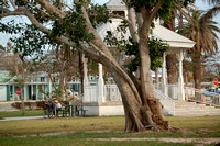 Key West Landscape