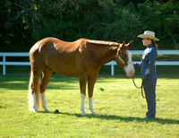 Marion Horse Show -Ring 2